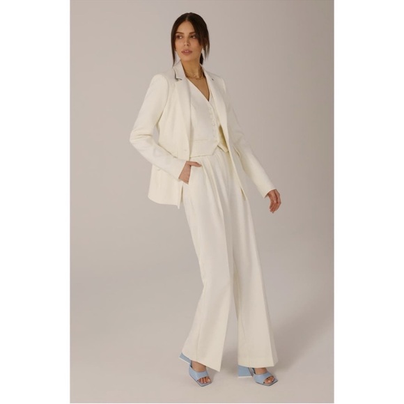 Anthropologie Favorite Daughter The Favorite Pleated High Rise Pants Trouser NWT - Picture 9 of 12